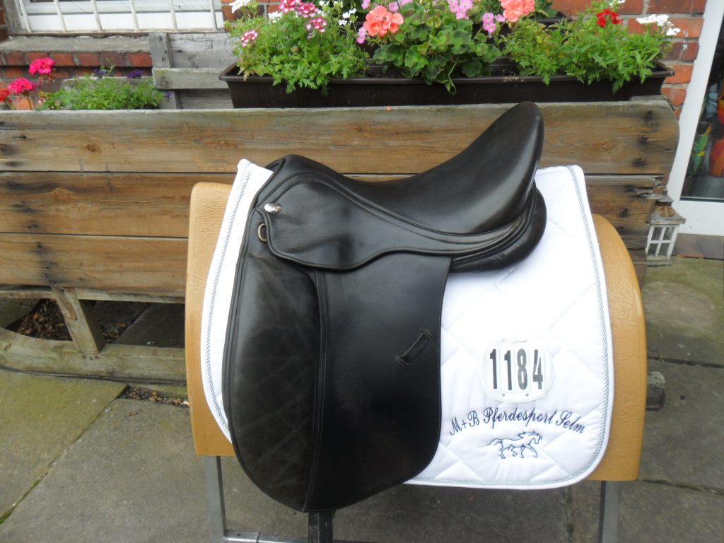 Dressur M B Pferdesport 